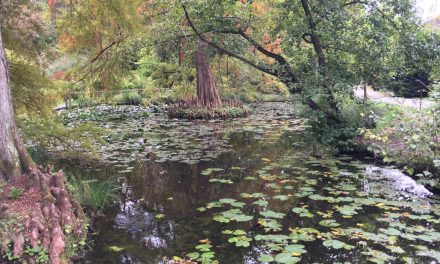 L’Orto Botanico di Lucca e la leggenda di Lucida Mansi