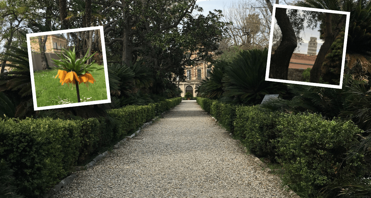 Orto Botanico di Pisa: 6000 piante dei 5 continenti