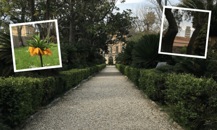 Orto Botanico di Pisa: 6000 piante dei 5 continenti